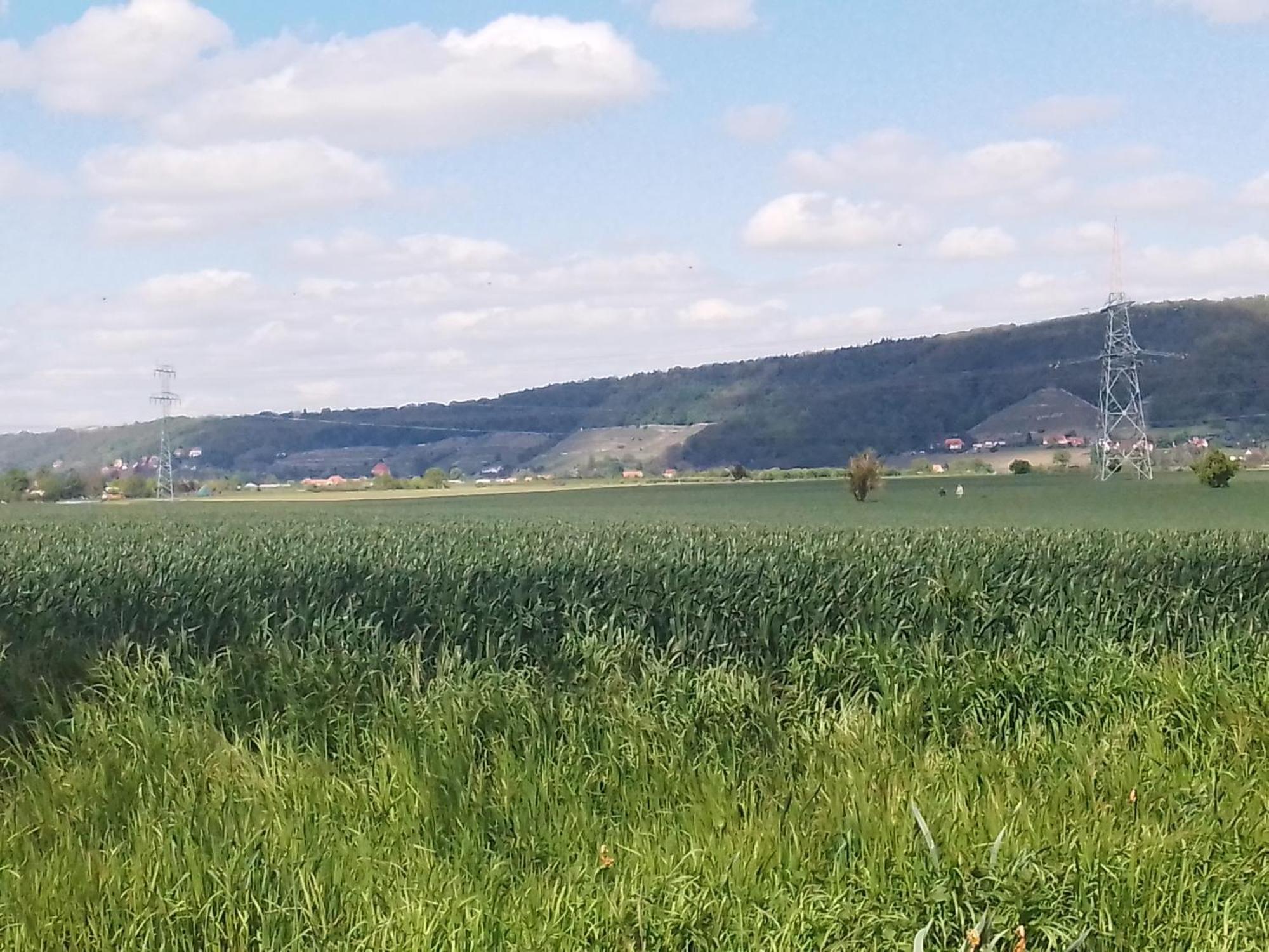 Dresden-Entspannung-Natur-Trifft-2-Staedte-Am-Fluss 外观 照片